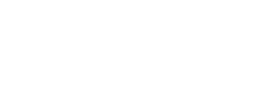 logo1